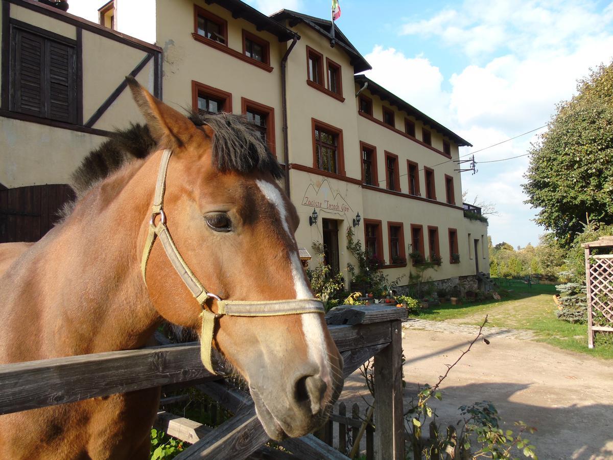 Zacisze Trzech Gor Villa เยดลินา ซดรูจ์ ภายนอก รูปภาพ
